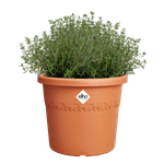 algarve cilindro 25cm terre cuite